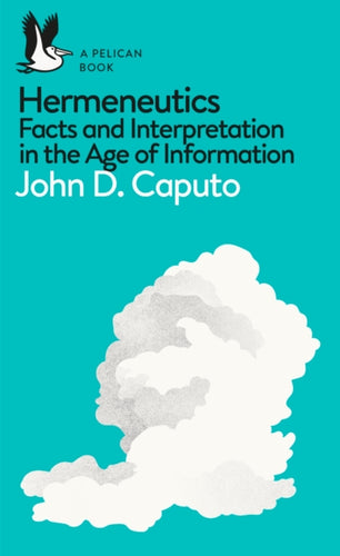 Hermeneutics : Facts and Interpretation in the Age of Information-9780241257852