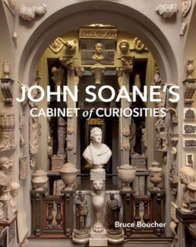 John Soane's Cabinet of Curiosities : Reflections on an Architect and His Collection-9780300275698