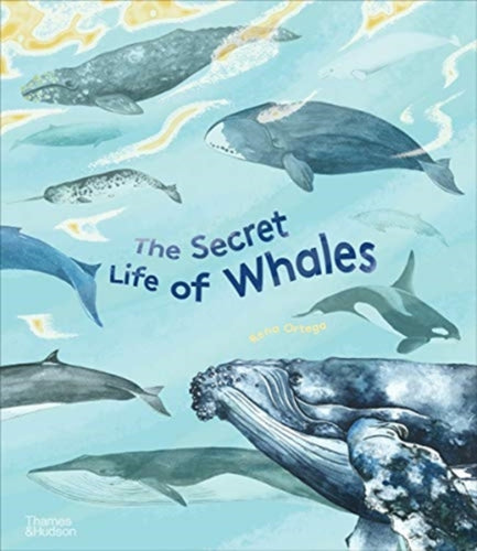 The Secret Life of Whales-9780500652671