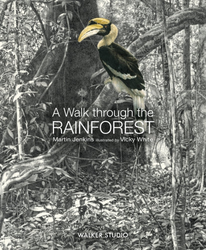 A Walk Through the Rainforest-9781406331554