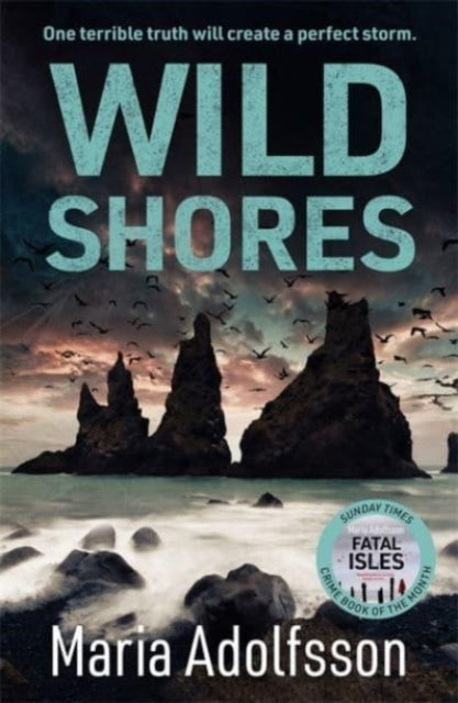 Wild Shores : The bestselling atmospheric police procedural that has taken the world by storm-9781838776121