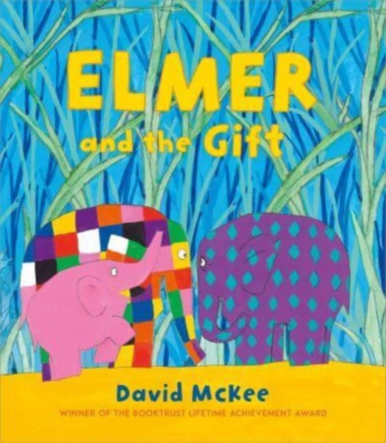 Elmer and the Gift-9781839131608